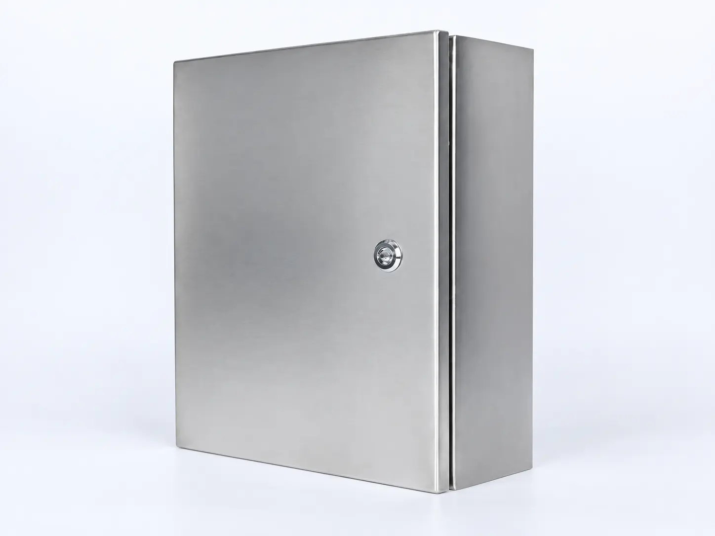 SS Metal Enclosures